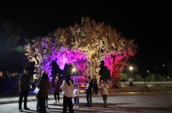 فصلی جدید از برگزاری جشنواره ها و رویدادها در جزیره کیش