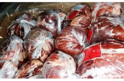 توزیع گوشت قرمز منجمد با قیمت تعادلی در جزیره کیش