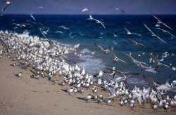 تداوم گرمای تابستانه در هرمزگان